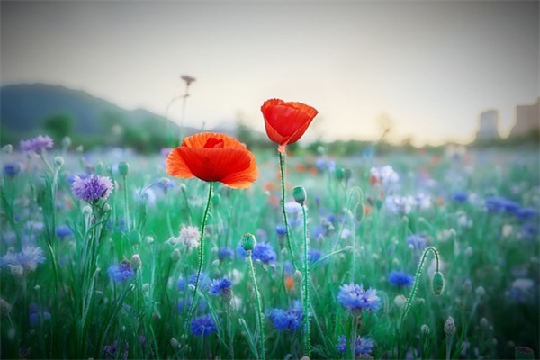 减肥励志语录 有关减肥的励志语录