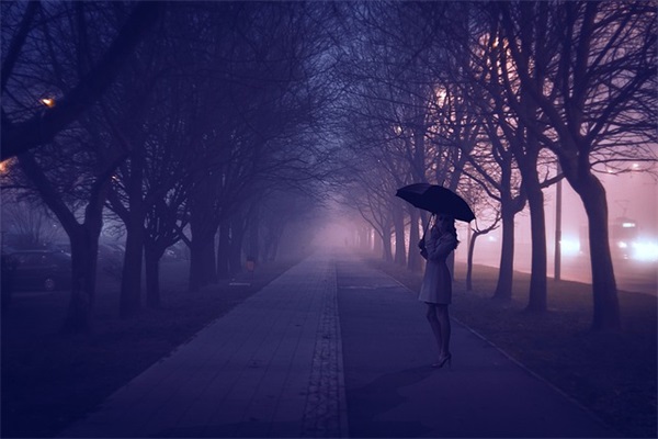 2026十一月你好正能量语录句子