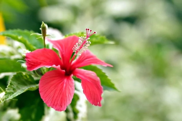 抖音最火伤感语录 抖音最火伤感语录大全