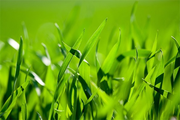 流泪心碎的爱情语录