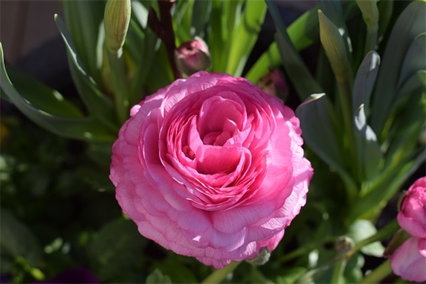 高考鸡汤励志语录 高考鸡汤200字