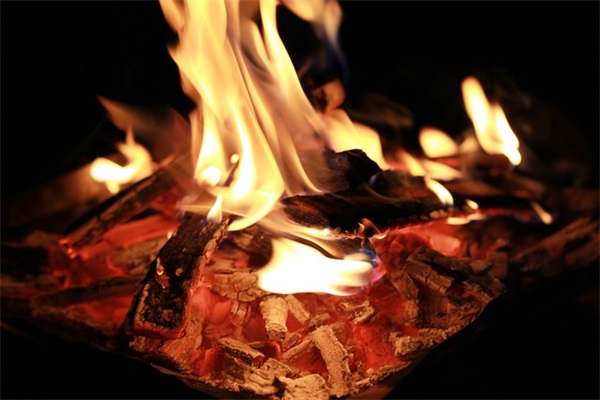 2026年简单的爱情语录