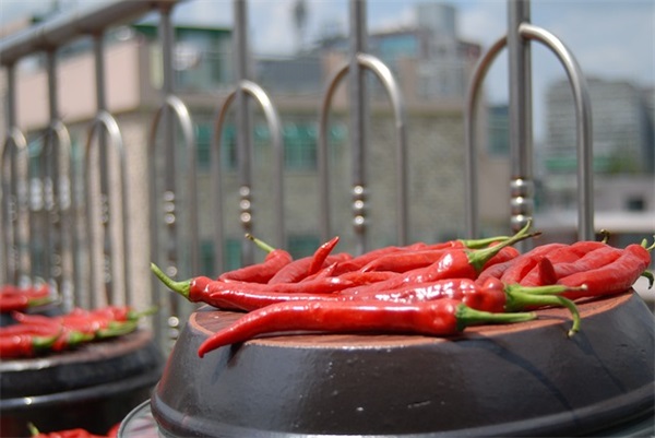 狐狸经典语录47句