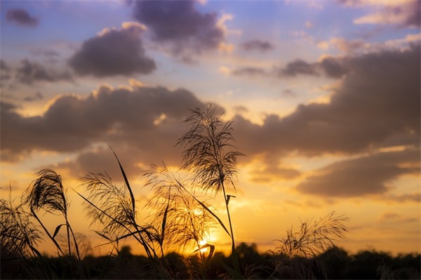 情感语录文案 2026情感语录文案