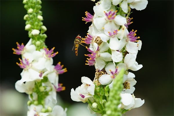 进考场的祝福语 【进入考场祝福语】