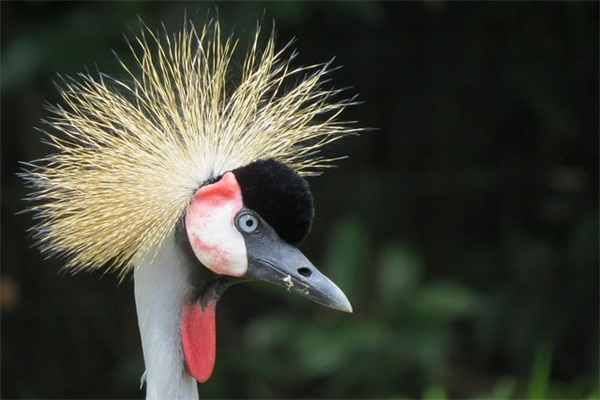 早上祝福语简短微信-65句