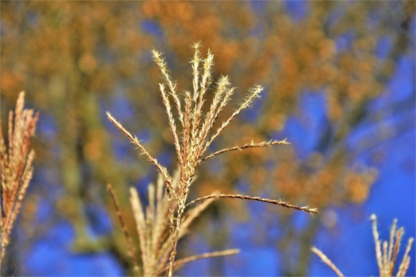 88.88红包祝福语 【发88的红包怎么说祝福】