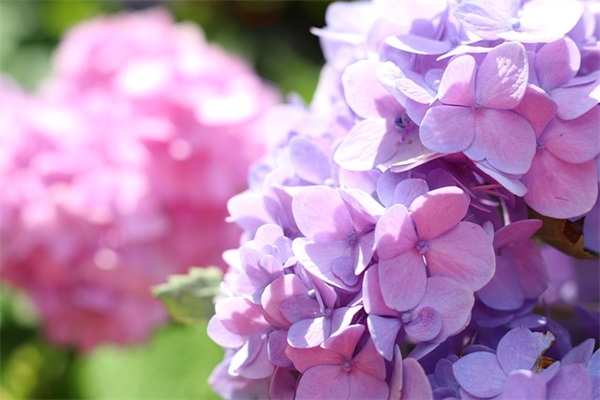 2026年伤心情感语录103句