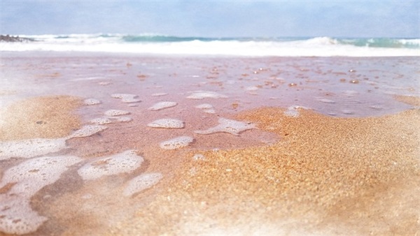 名人的情感最经典语录