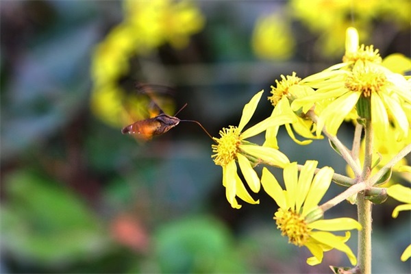 表述女性难过的伤感语录(女性正能量的励志语录)