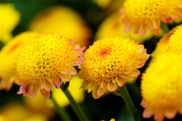 qq空间说说经典语录100句