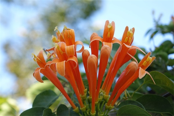 关于老婆最好情感语录