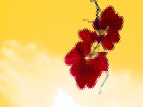 新年祝老公事业顺利的话(妻子支持丈夫事业语录)