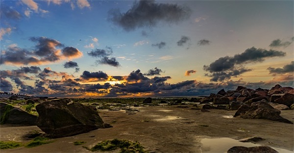 炒股经典语录 炒股经典语录