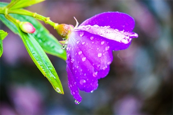 跨年餐饮文案短句 2026年初三毕业催泪留言语录