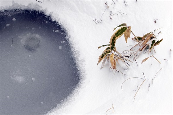 2026跨年的优美语录