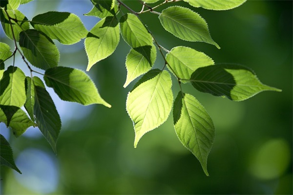 周星驰经典语录大全 周星驰的情感经典语录