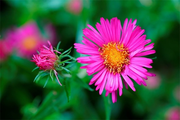 2026年犀利语录82句