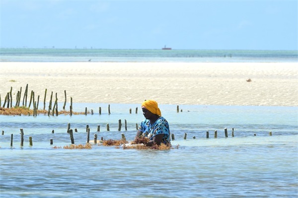 减肥励志的情感语录 减肥励志语录简短