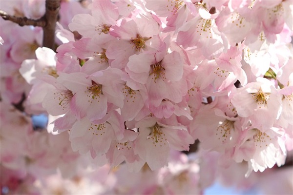 青春爱情的情感语录