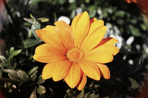 霸气超拽语录84句