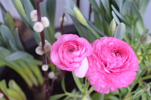 暗恋对方的伤感语录 暗恋失败的伤感句子