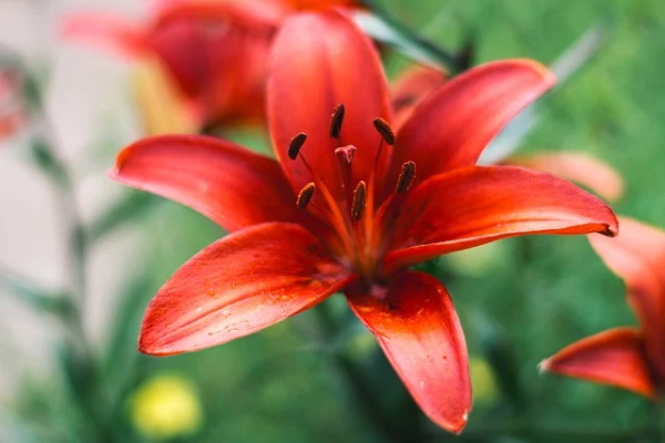 最让人伤心难过的爱情语录(让人落泪的情感语录)