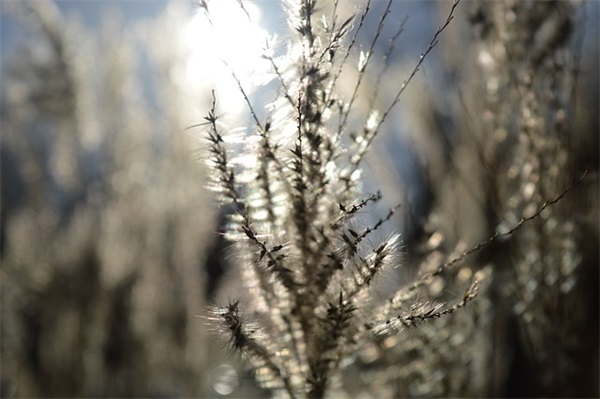 趁着自己还年轻的语录 趁自己还年轻的的名言