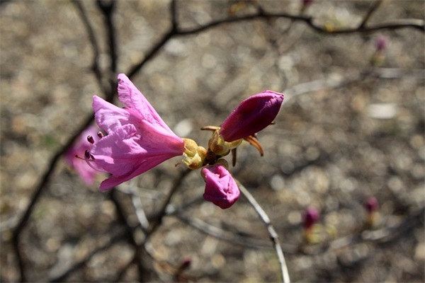 世界末日心情语录