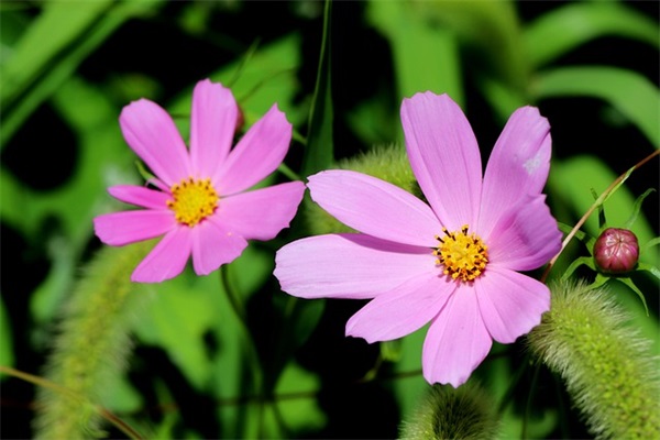 成功创业语录62句