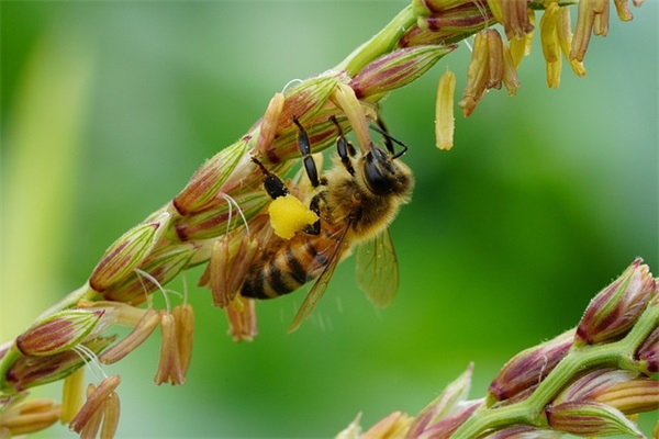 一句话的伤感心情语录