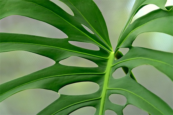 从爱情到幸福的甜蜜语录 感动人的爱情语录短句