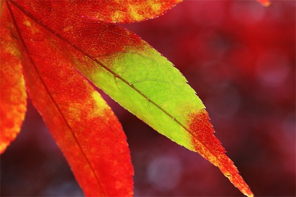 男女之间的感情句子 关于男女感情的经典语录