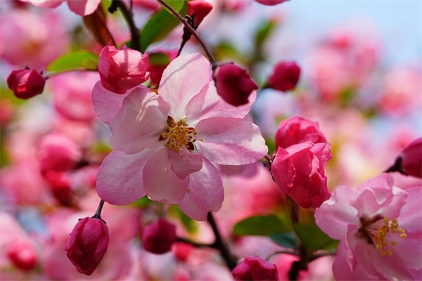 2026爱情感悟语录