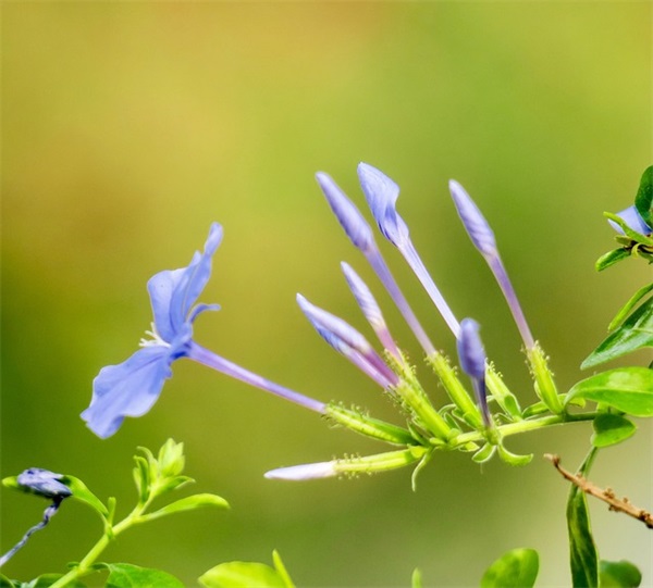 人生格言励志语录81句