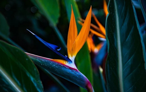 经典语录摘抄大全 名著经典语录摘抄