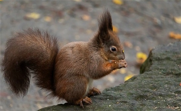 抓住机遇的名人事例简短(机遇与挑战的经典语录)