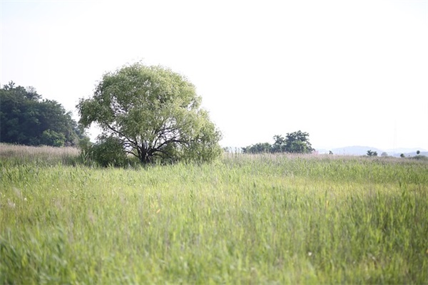怀旧经典伤感句子语录