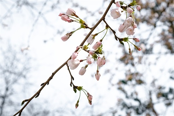 墨家经典语录 兵家经典语录