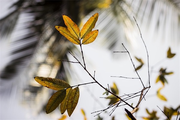 2026年简短的情感励志语录