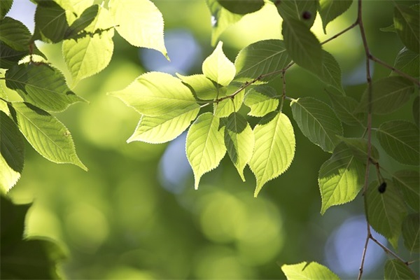 悲伤的爱情经典语录说说