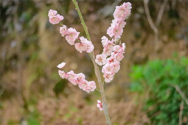 经典语录励志说说 超励志句子说说心情