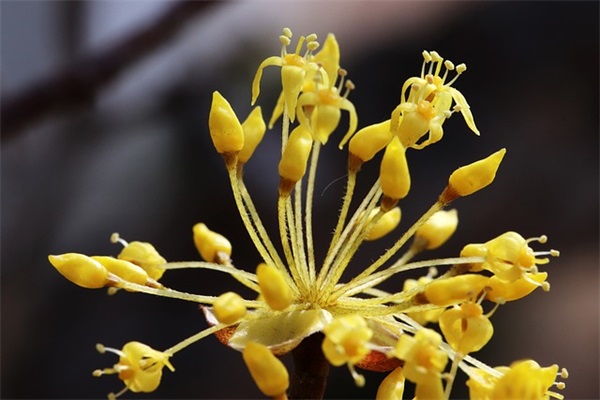 人生拼搏正能量励志句子 心灵鸡汤经典语录励志