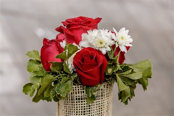 关于心灵鸡汤经典语录(关于工作心灵鸡汤经典语录)