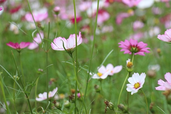 内涵的经典语录个性签名素材