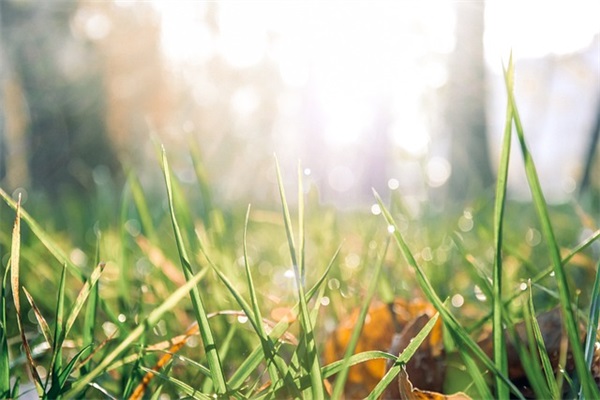 你有你的社会语录 mc天佑社会现实经典语录