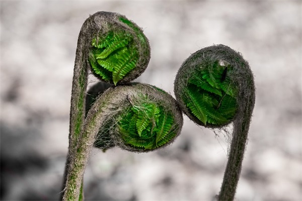 因爱生恨的经典语录 痛到骨子里心碎的句子