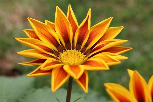 励志签名经典语录 吸引人微信签名励志