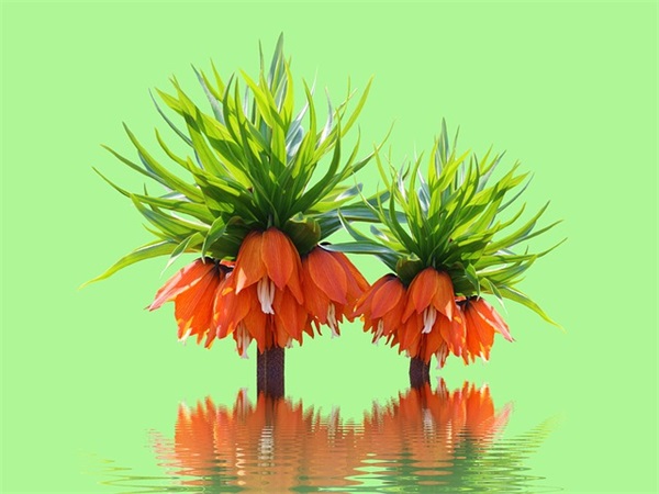 2026年经典幽默语录100句