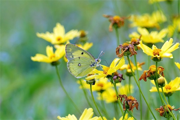鼓励员工语录67句